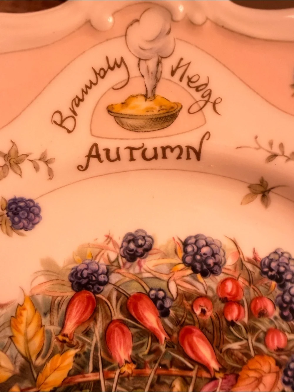 Royal Doulton Brambly Hedge Autumn Plate - White, Red, Blue, Gold